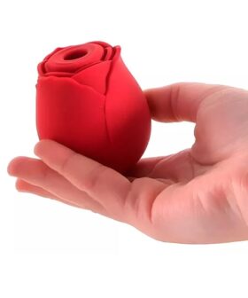 Succionador Rosa USB